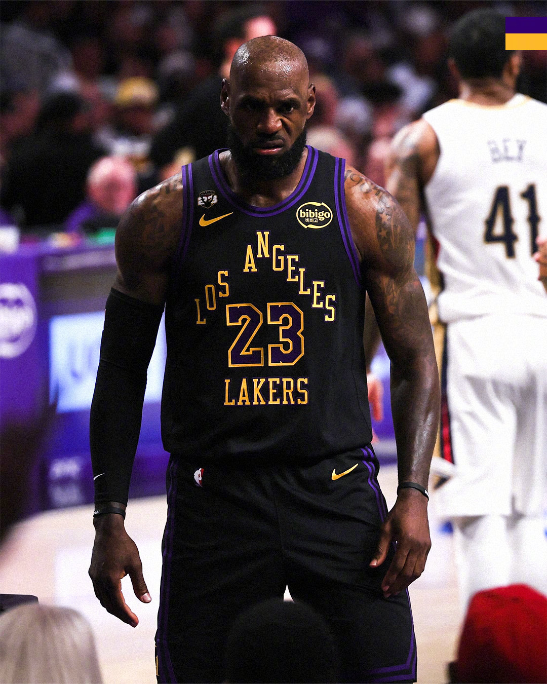 👑😤鹈鹕vs湖人 湖人国度