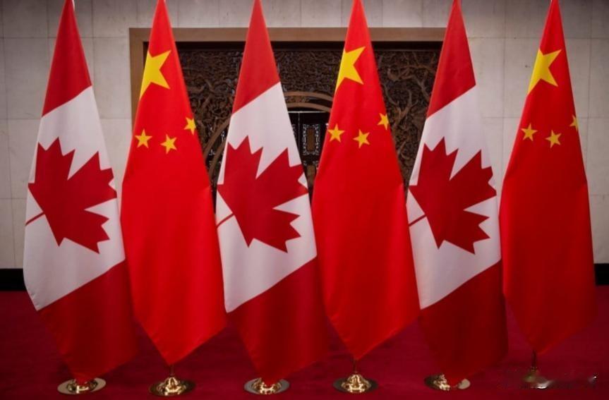 潜逃26年红通嫌犯好日子到头！高官之子海外富豪梦破碎！

正义或许会迟到，但绝不