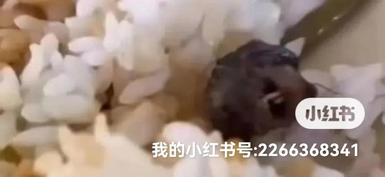开发商最大的问题，不是负了多少债，而是从负债的那一刻起，就没想过还债的问题。不仅