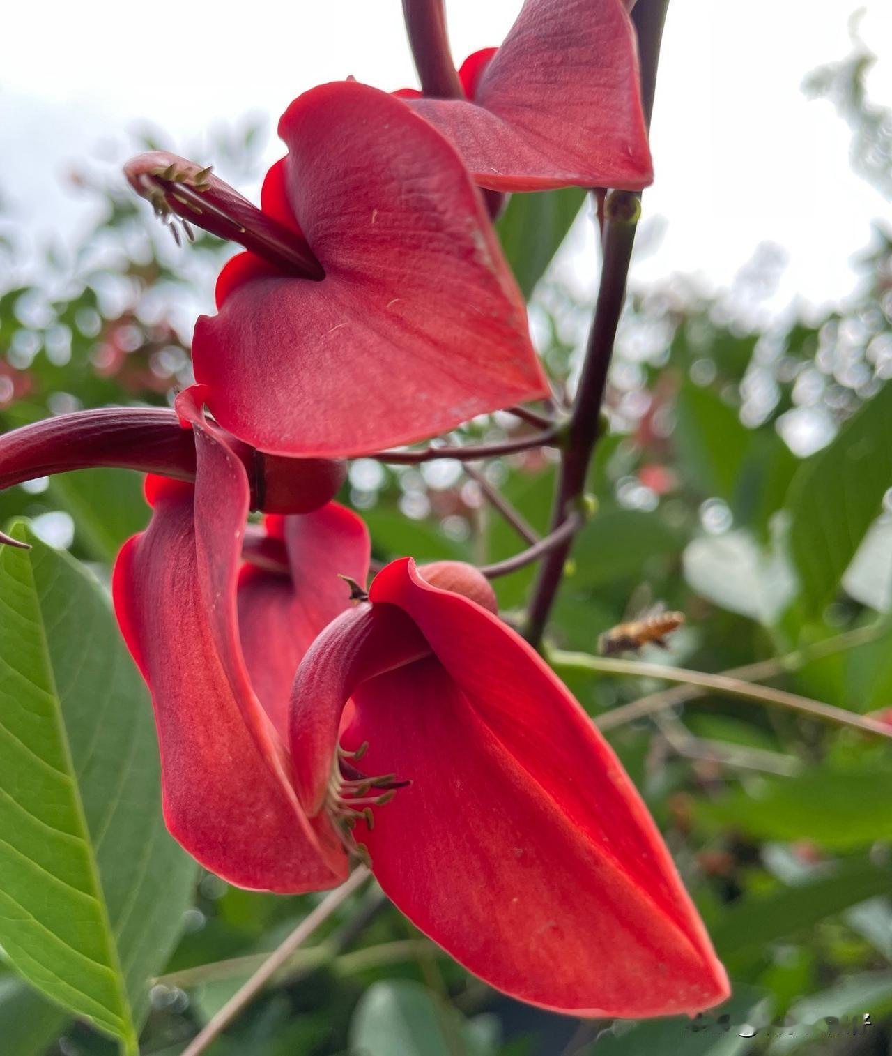 有色金属矿业：当前新能源产业扩张、人工智能算力需求提升、电网升级改造持续推进，上