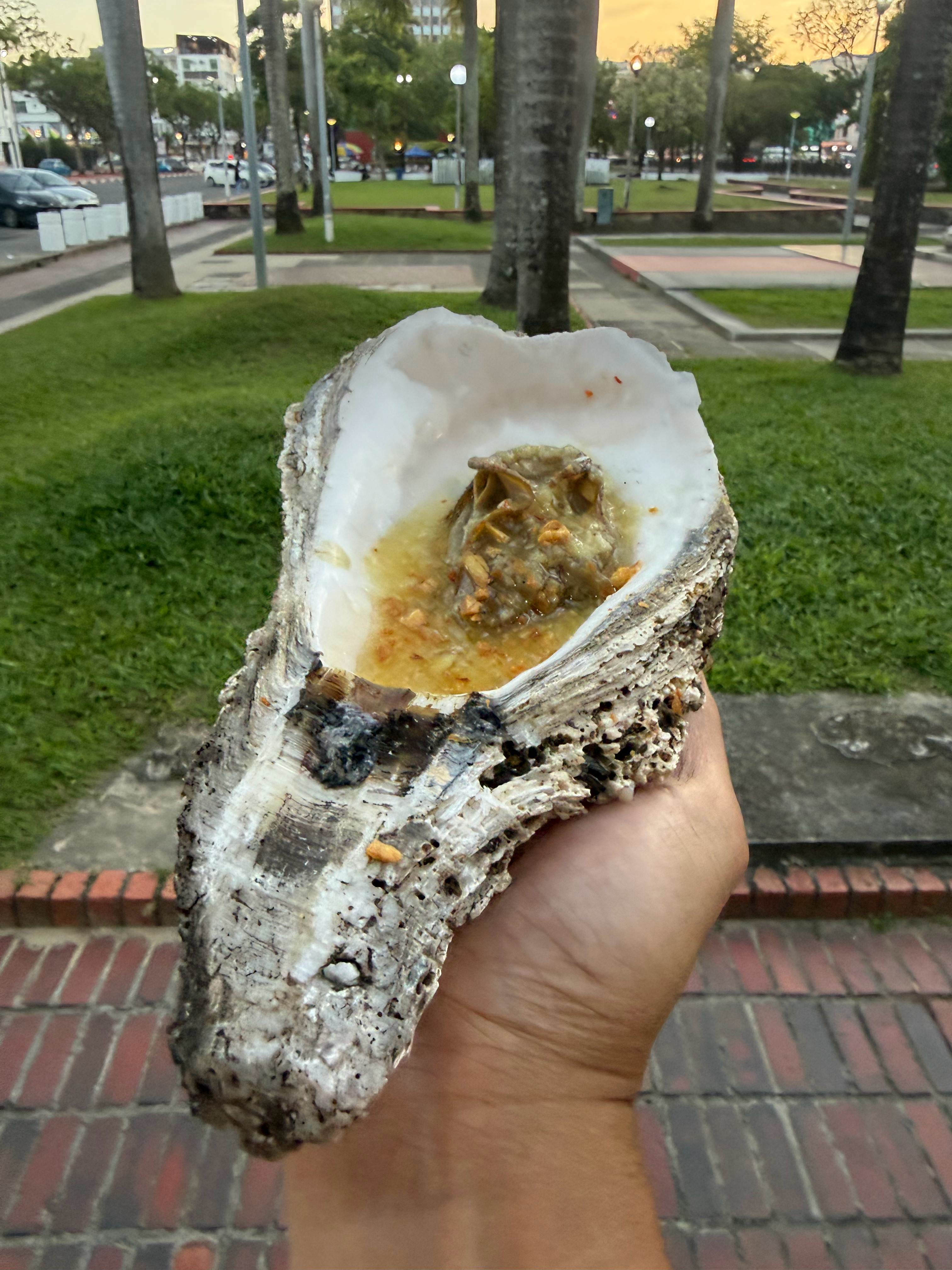 好奇怪，大得夸张的野生蚝，吃了今晚会怎么样？ 