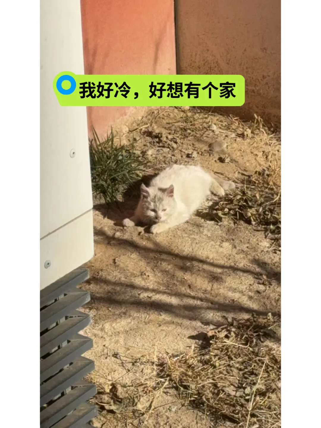 被抛弃想哭又不敢哭冻得哆哆嗦嗦
