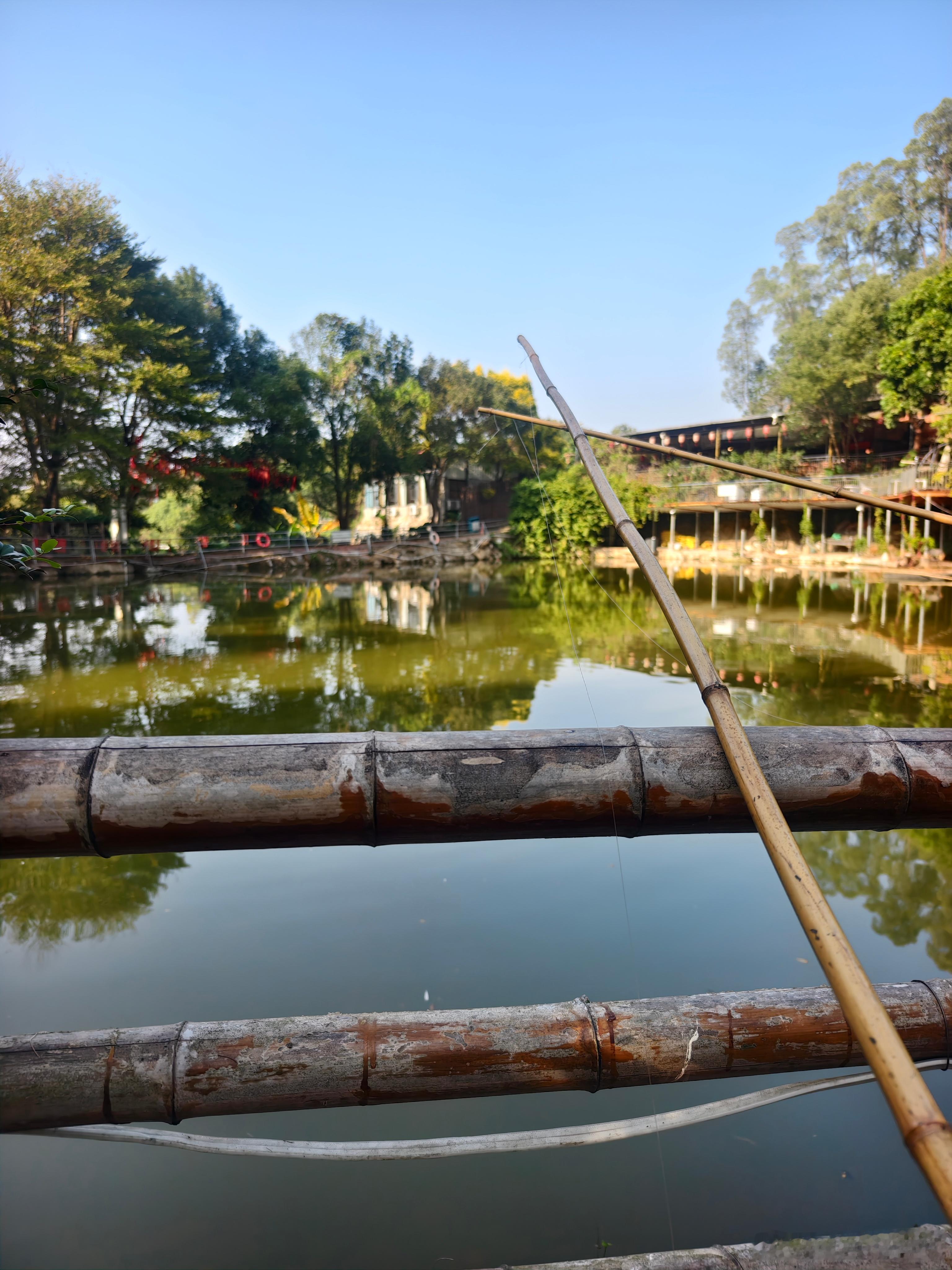 钓一堆小的 就没一条大的