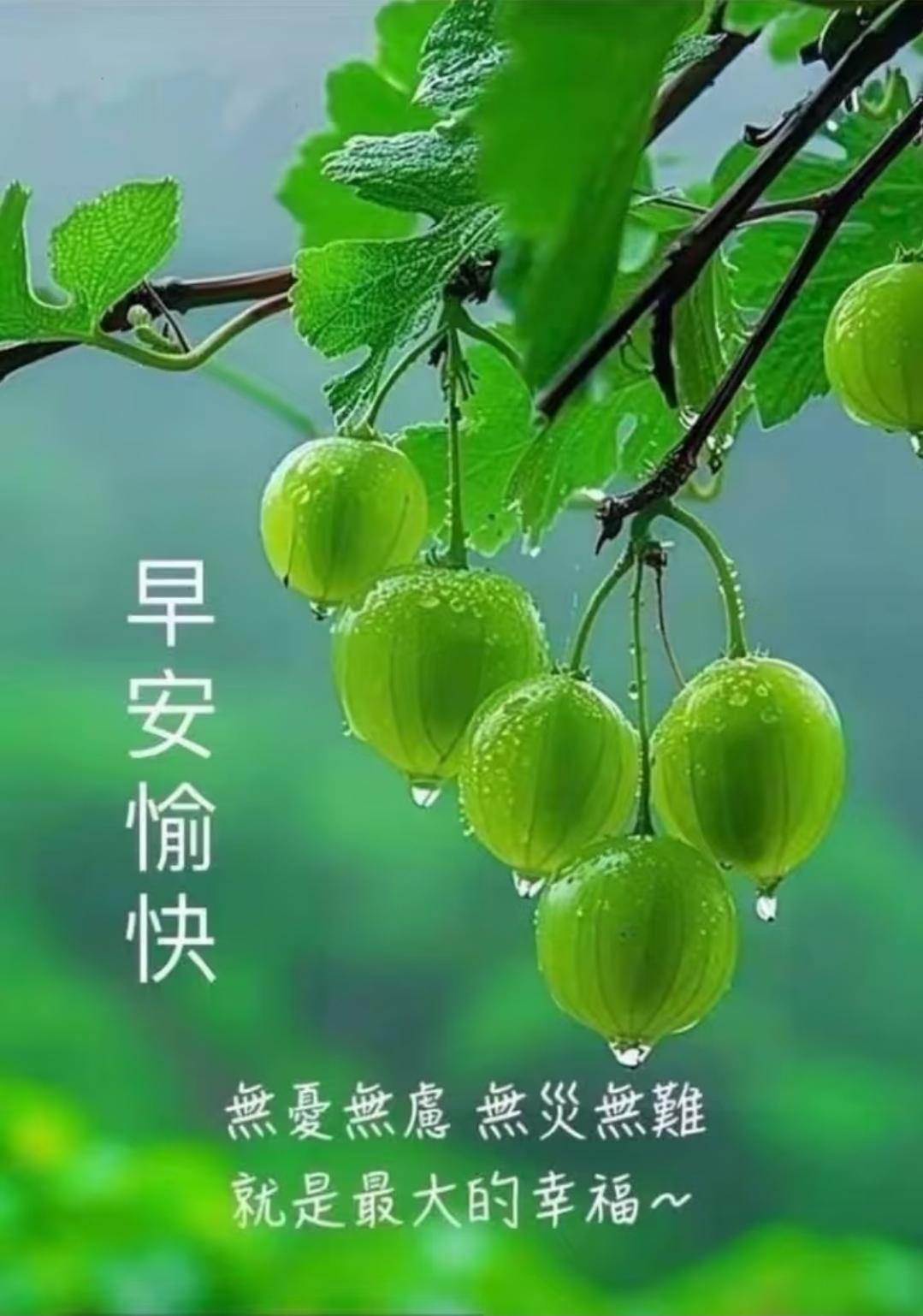 早安！今天是10月13日星期二。
中国排协发布2026年全国青少年U19女子排球
