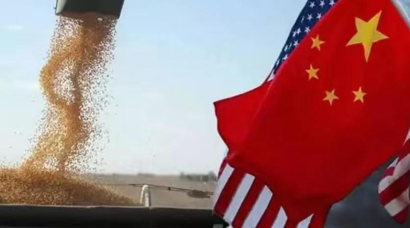 美国欢呼，中国开始采购大豆！ 就在今天（6月30日），美国农业部主动公布了一则消