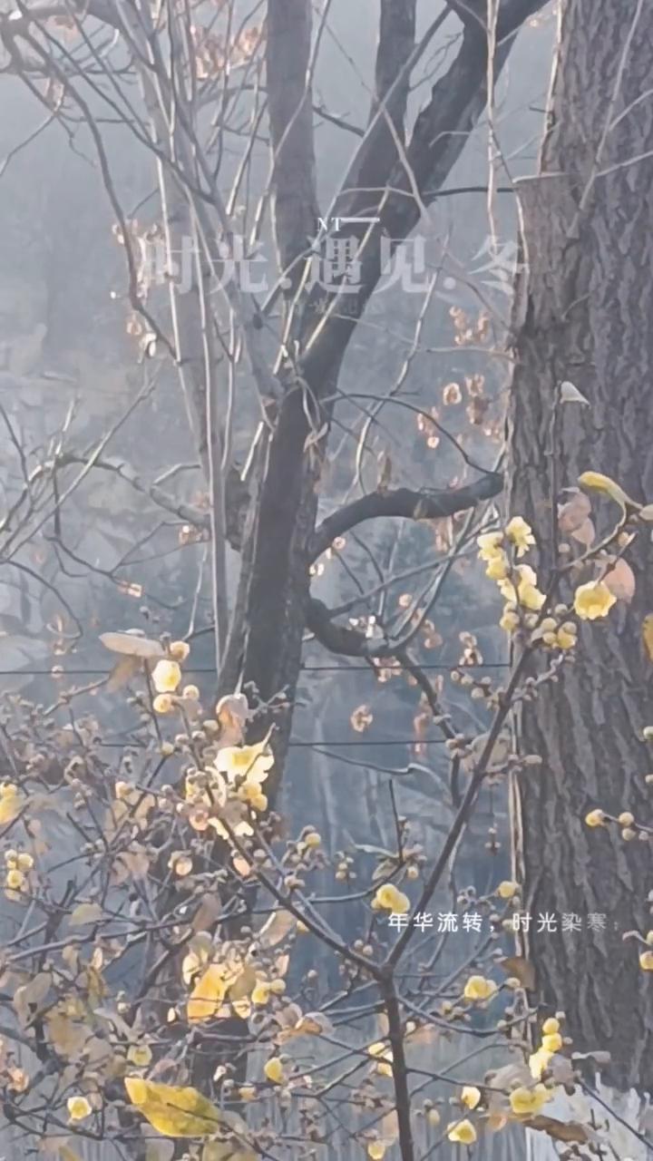 时光，遇见.冬。
年华流转，时光染寒；让我们在这季节转角处。时光甜愉悦，秋去冬来
