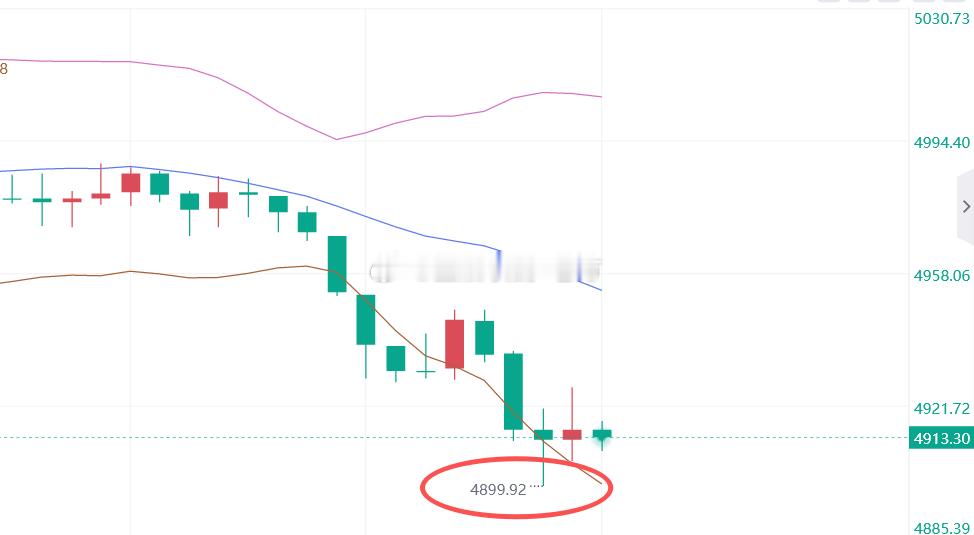 全疯了金价跌破4900盎司