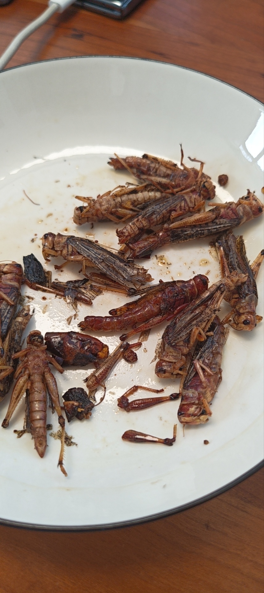 古时候要是人们知道这玩意可以炸着吃，还会有蝗灾吗？ ​​​