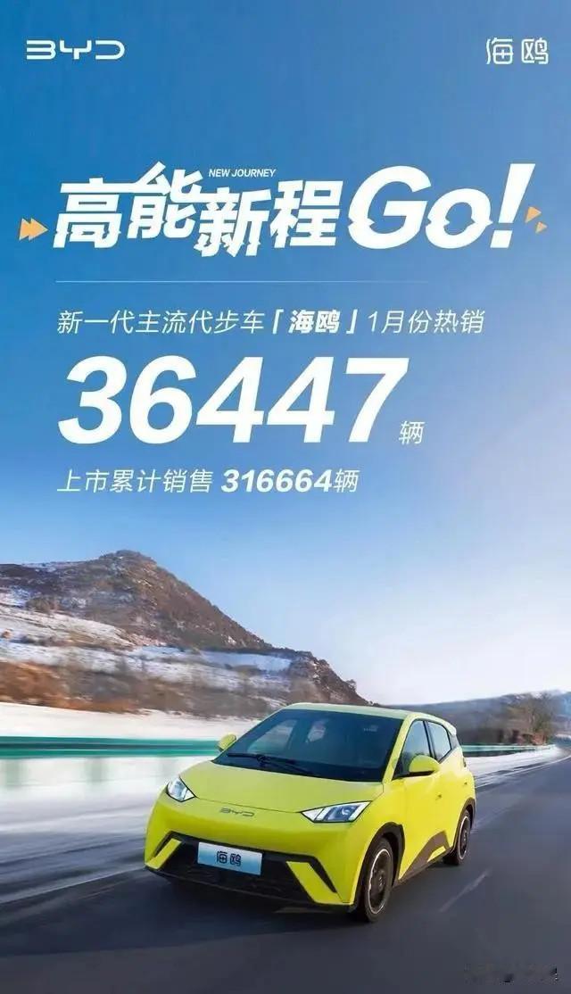 比亚迪海鸥自2023年4月上市以来，凭借其实惠的价格区间7.38万~8.98万和