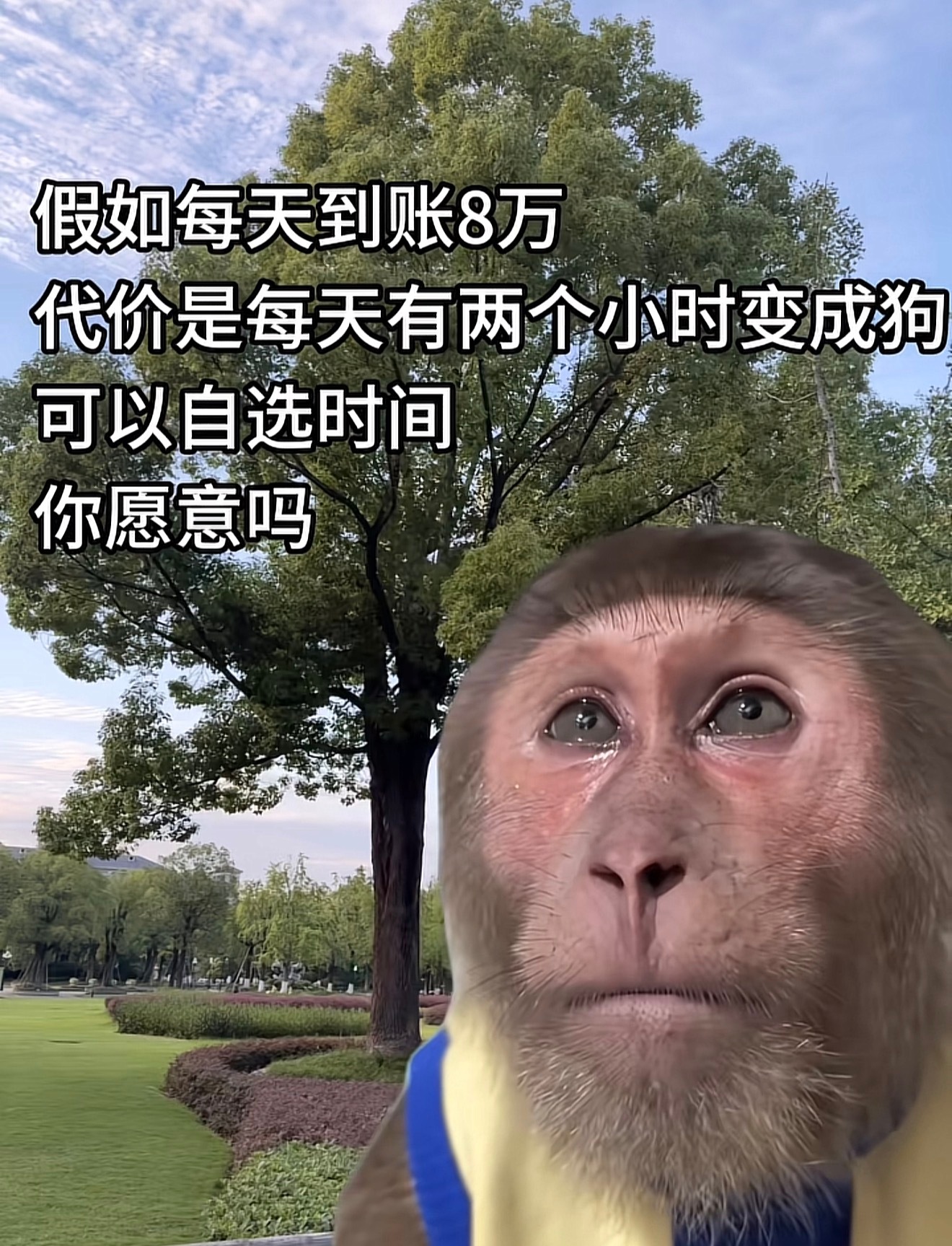 假如每天到账8万，代价是每天有两个小时变成狗，可以自选时间，你愿意吗？ 