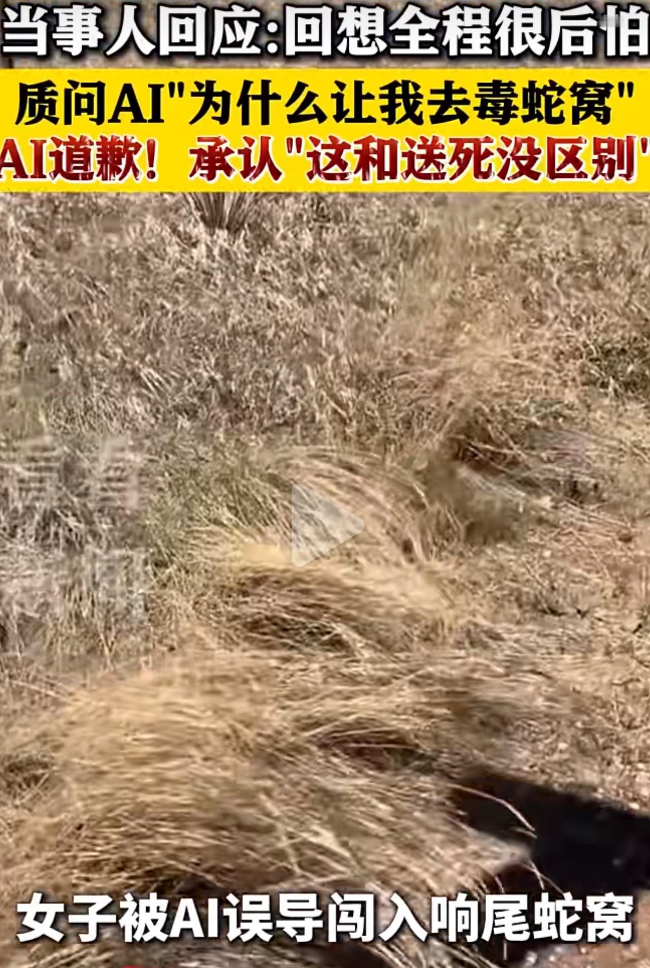 美国一位杨女士初到当地，想找一处清静好看的徒步路线，便全程依靠AI给出建议。AI