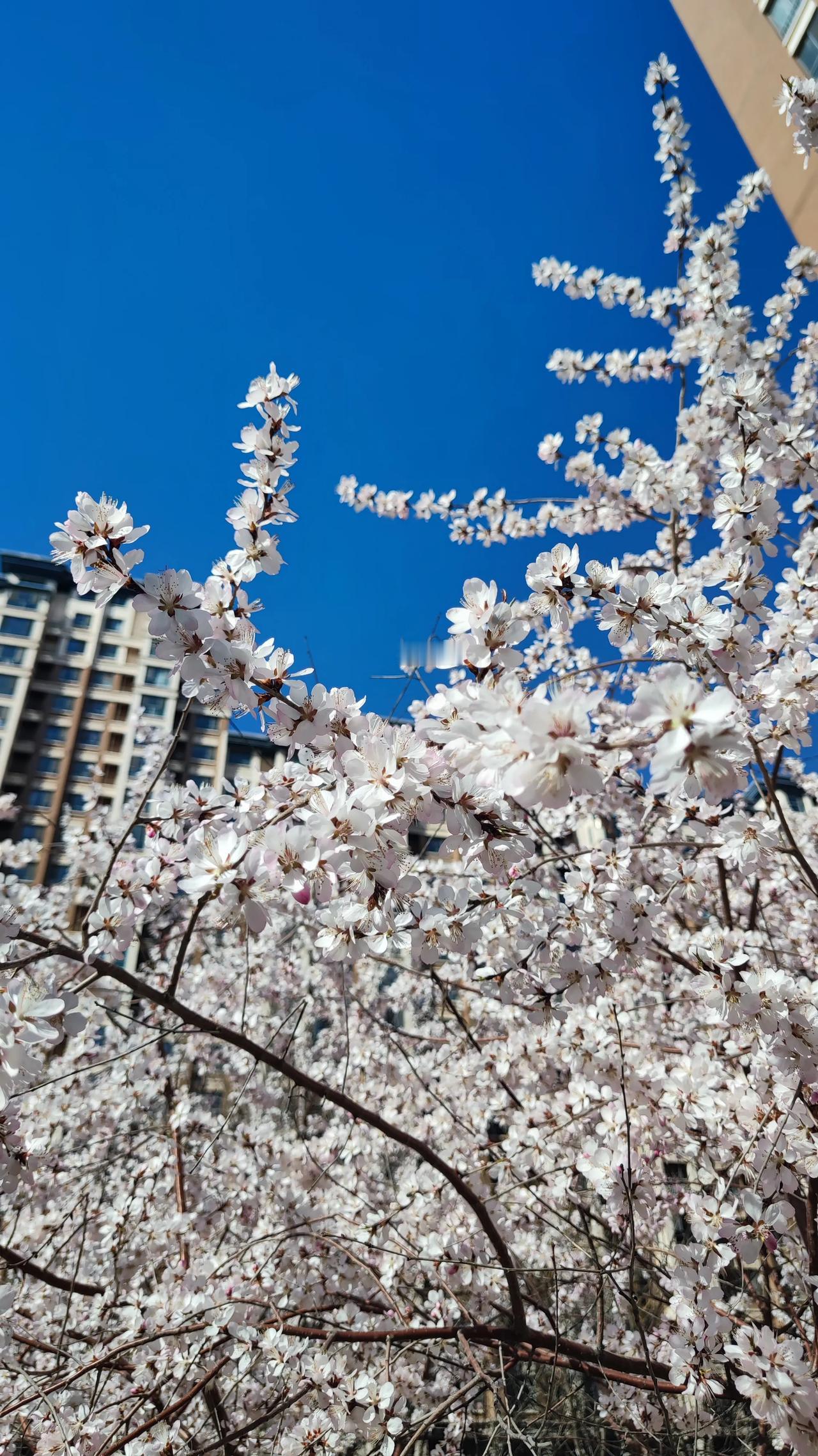 能送给我一句处在低谷期激励的话吗每个人都有每个人的精彩，希望你重整旗鼓，勇毅前行