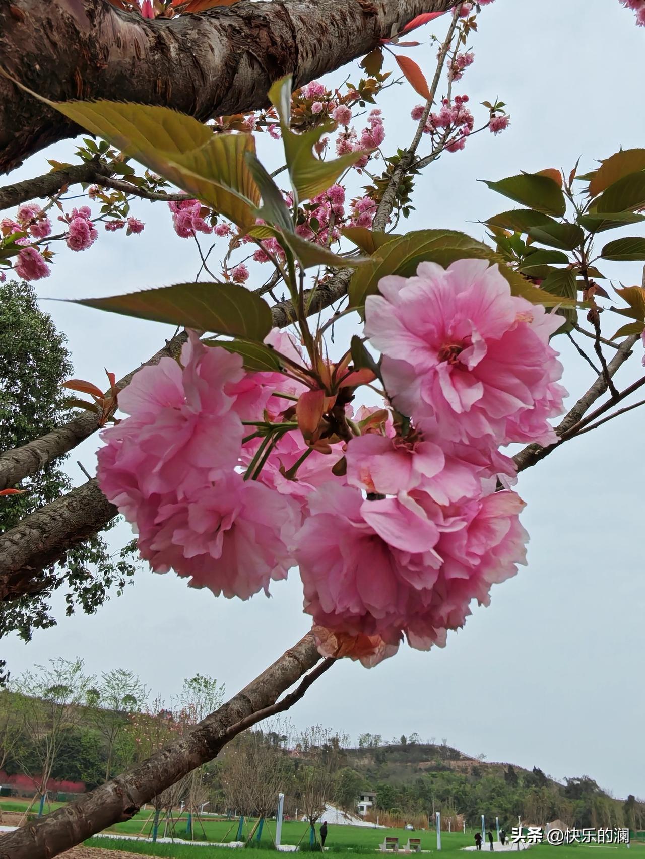 我现在终于知道我女儿每个月的工资有多少了！

我女儿985研究生毕业，现在在一家