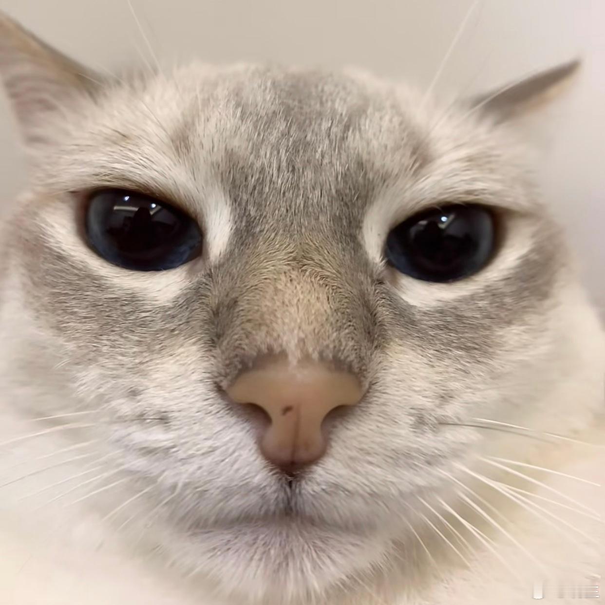 人是被自己的信念限制住的这句话说一万遍，不到开悟时刻是体会不到的我跟学员们讲的很