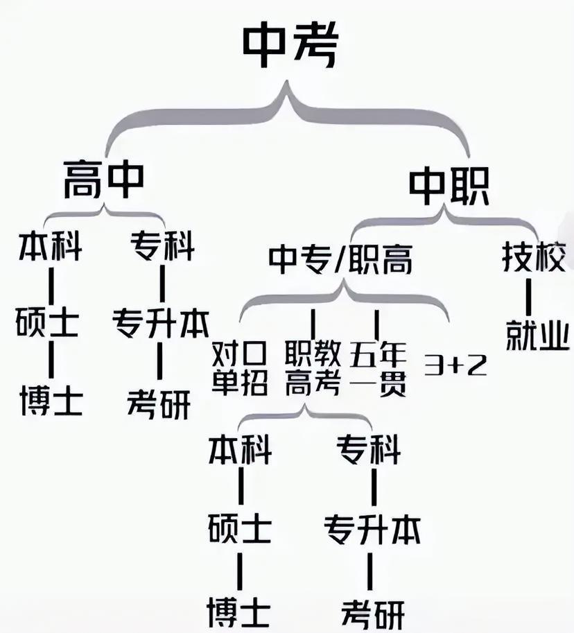 天哪！！终于有人把中考分流用一张图说明白了，看完后真的感觉初中努力一下，尽量上高