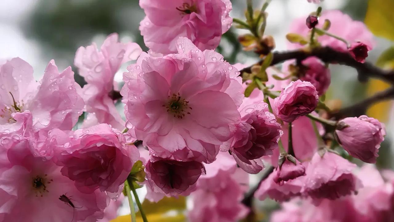 60岁的我，退休后又找了份保洁工作，除了工作外，我还在头条上记录生活。
今天我休