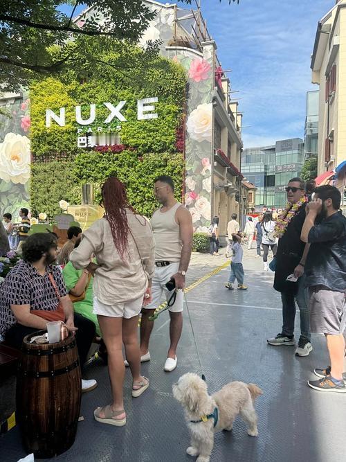 外国游客的中国游“隐藏玩法”：比起打卡网红地，他们更懂中国式浪漫

当我们还在纠