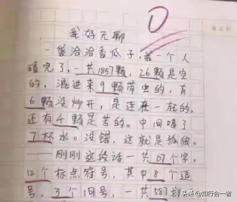 孤独瓜子日记：1857颗，26颗空，9颗带虫，6颗没炒，4颗是苦的。