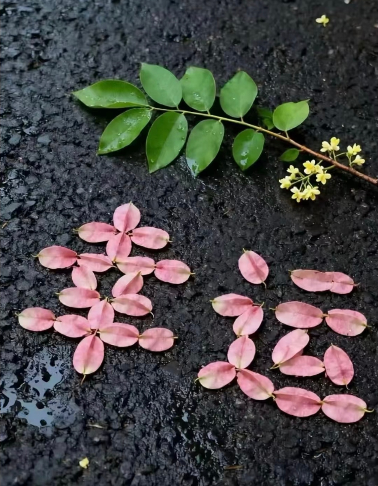 💚不求生活完美，但求平安喜乐；不为岁月低头，只为梦想前行。国庆假期继续嗨皮！ 
