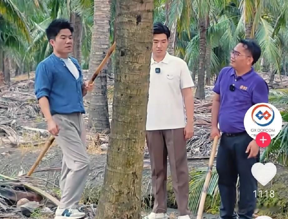 果农小董干农活已经干到了泰国。看着他过独木桥、摘椰子、骑摩托、运椰子，即是工作，