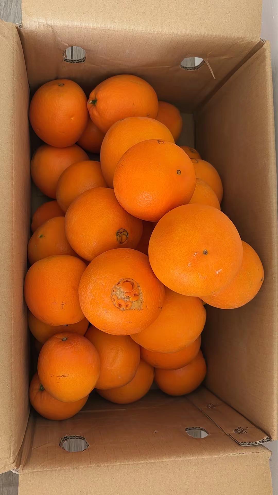 知道的打在评论区