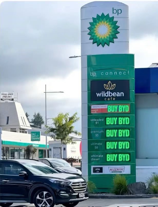 这广告，我评价为全球最狂野系列真正的电动车，敢于直面每一处加油站⛽电车出海比亚迪