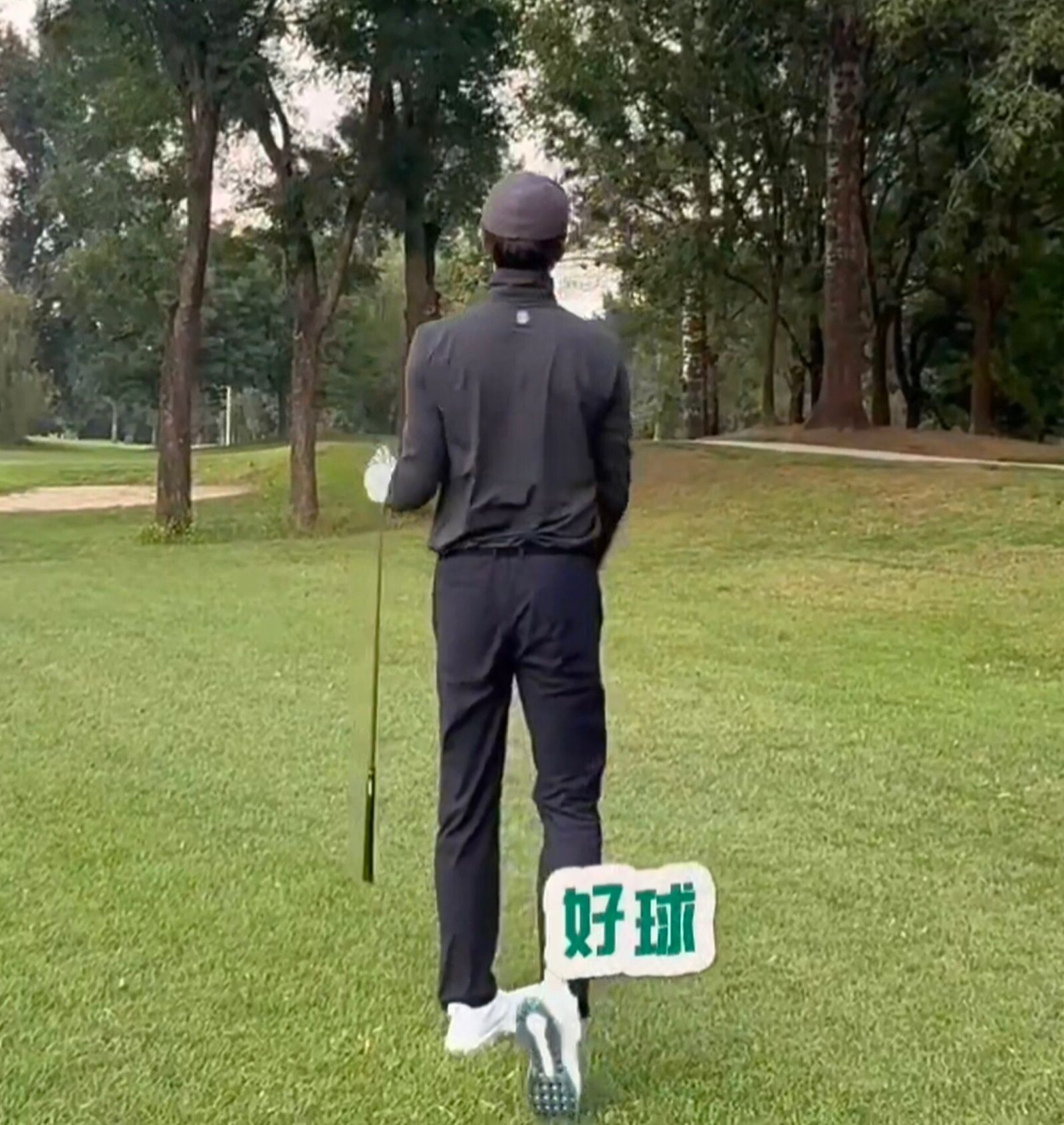 有人懂吗哈哈哈哈哈哈 这个高伟光哈哈哈哈