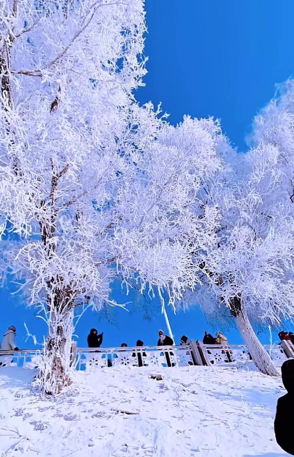 可以发一些美景照片吗，想欣赏欣赏随手拍～