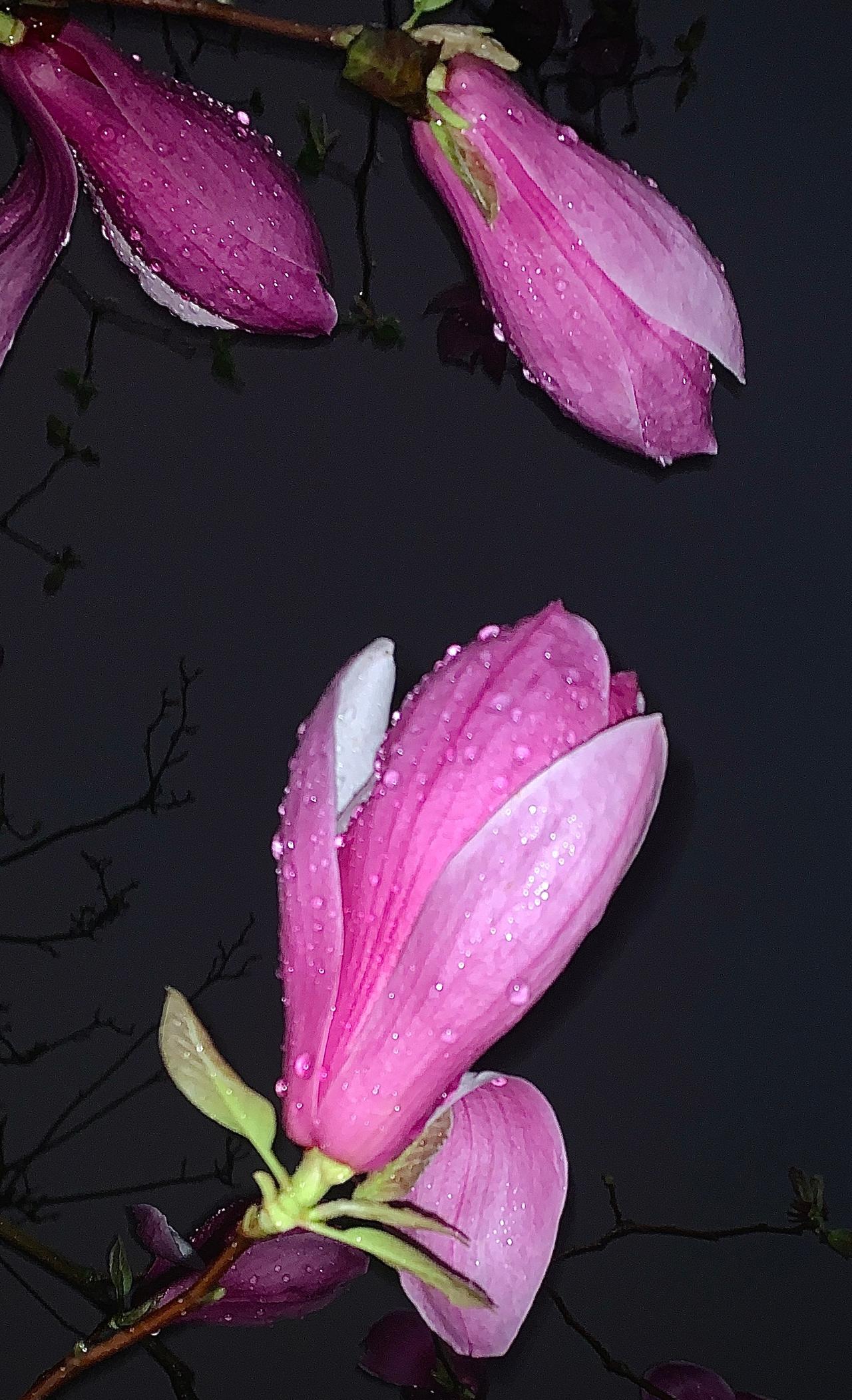 【看22290片雨】下完这场雨 ​​​