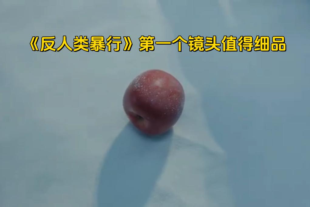 我宣布，这部剧是我在2025年电视剧版块里品尝到的唯一一部“细糠”！太惊喜啦！看