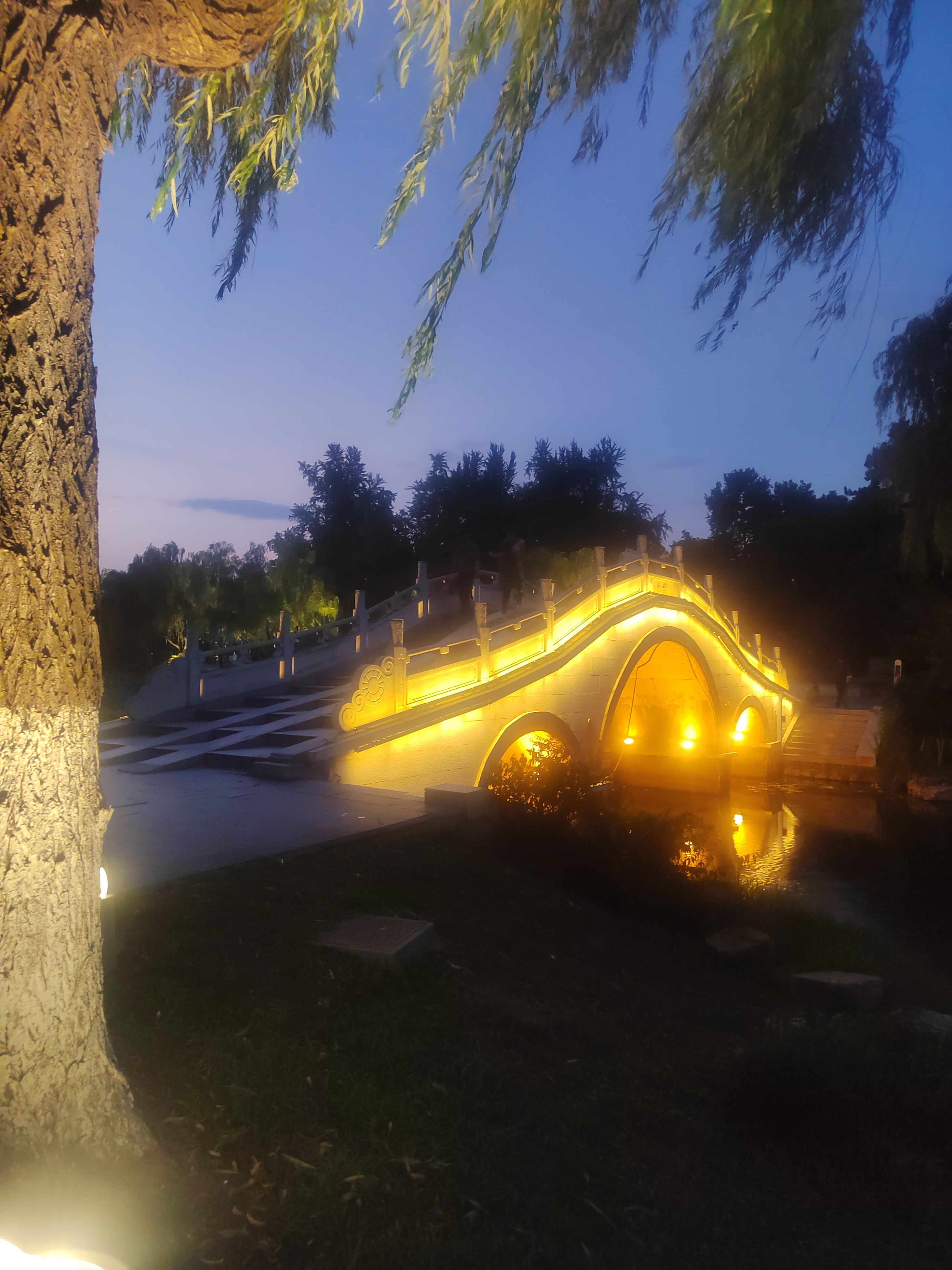 杨紫 傍晚到公园散散步，晚风轻柔，夜色漫染周遭，慢悠悠享受片刻属于自己的安静时光
