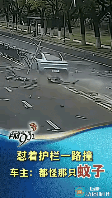 好家伙，为了弄死一只蚊子，把身家性命都豁出去了！我们日常做事不能分心，开车更不能