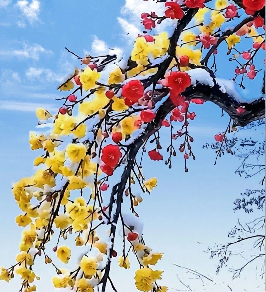 绝对不会考虑住养老院。说白了，去了那就等于把自己的生活主动权全交出去了，几点吃饭