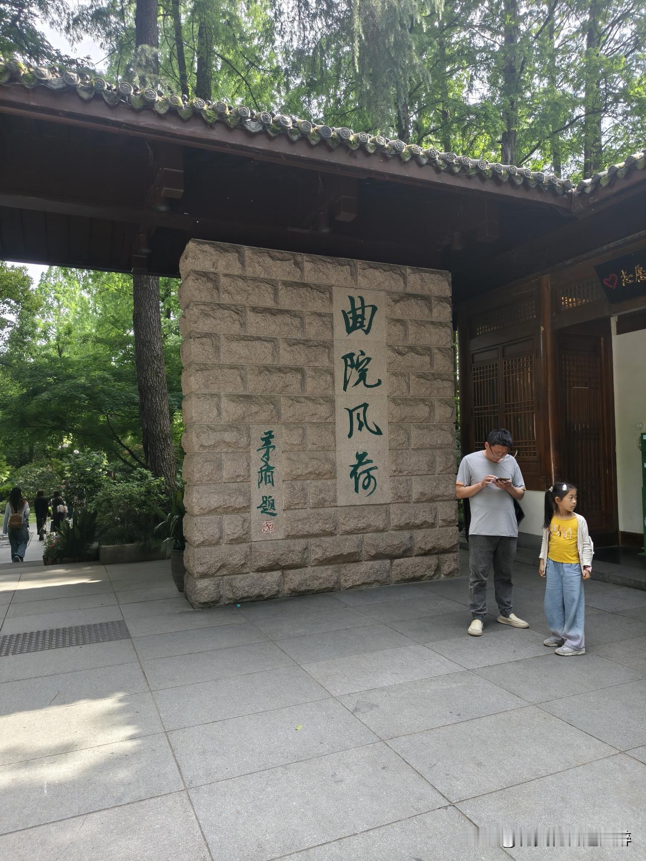 花开处处美分享漂亮的花花草 杭州曲院风荷美景自行拍摄