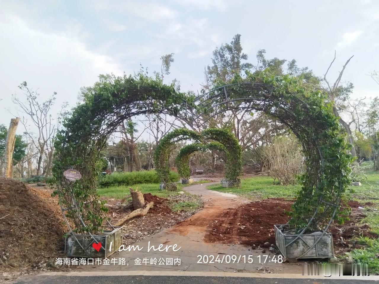 鲁迅说——
​世界上本没有路，清理的人多了，也就有了路。
​今天下午，我终于厚脸