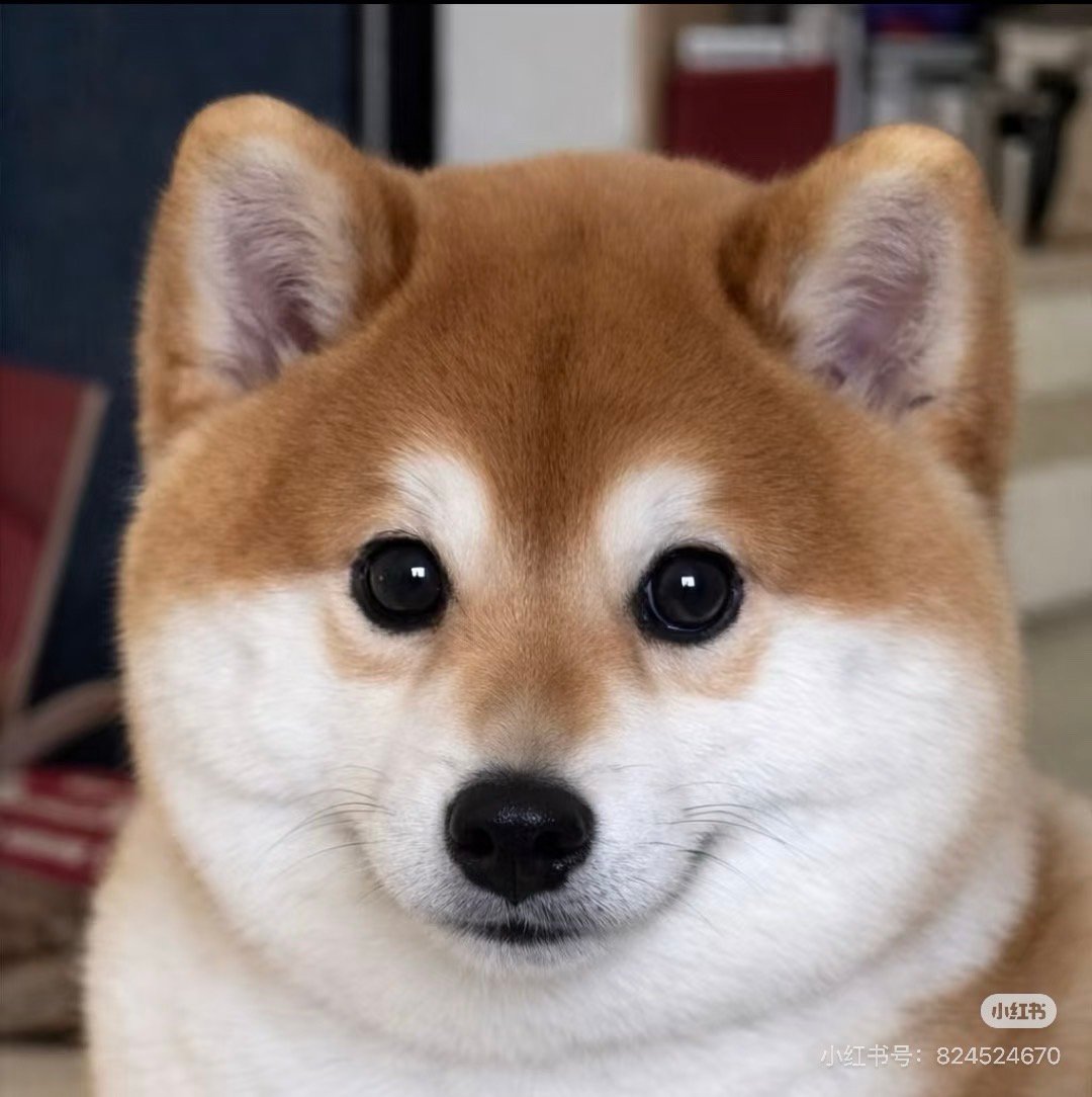 新的再来(•̀ᴗ•́)و̑̑乌鲁木齐经开万达，【两条zzp合计4500】解锁3天