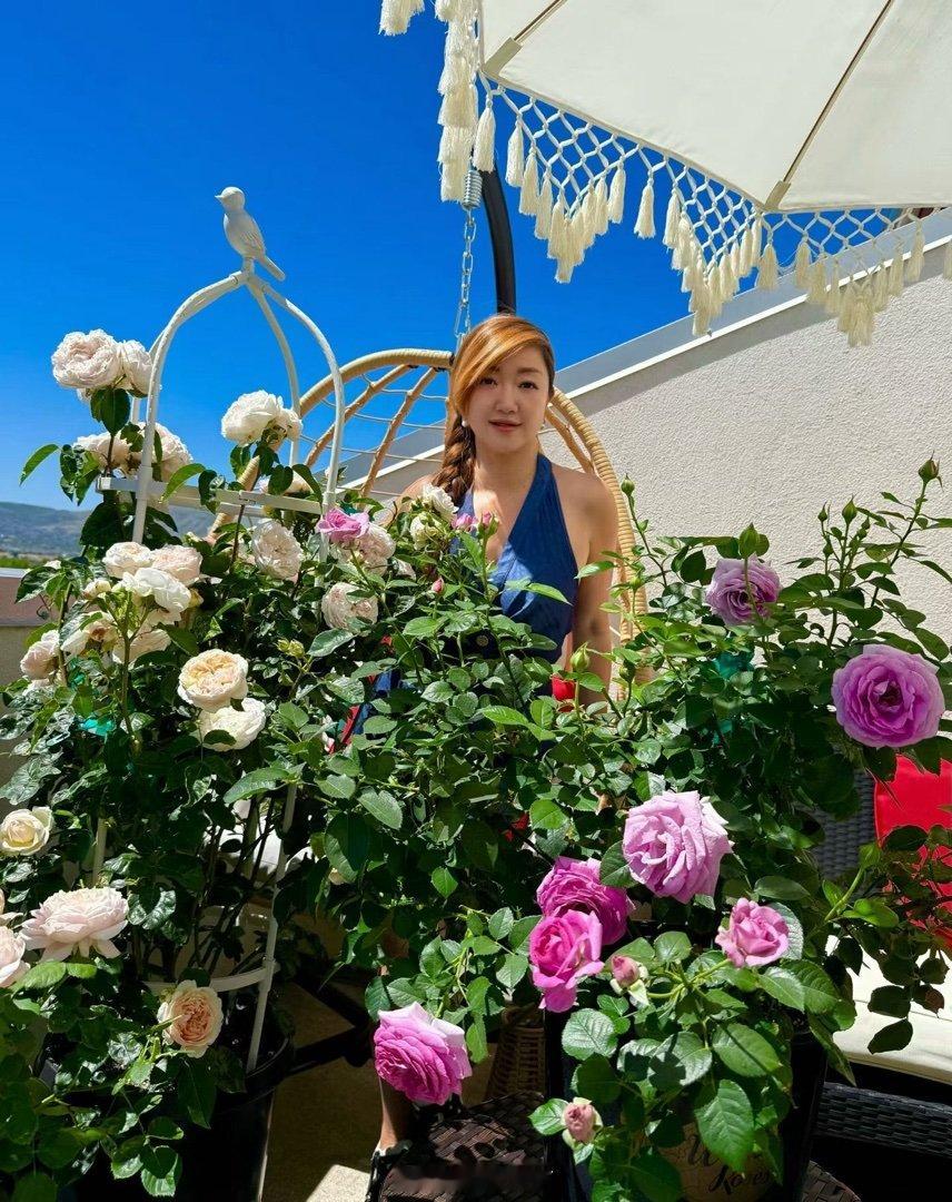 属于乖妈的花海 