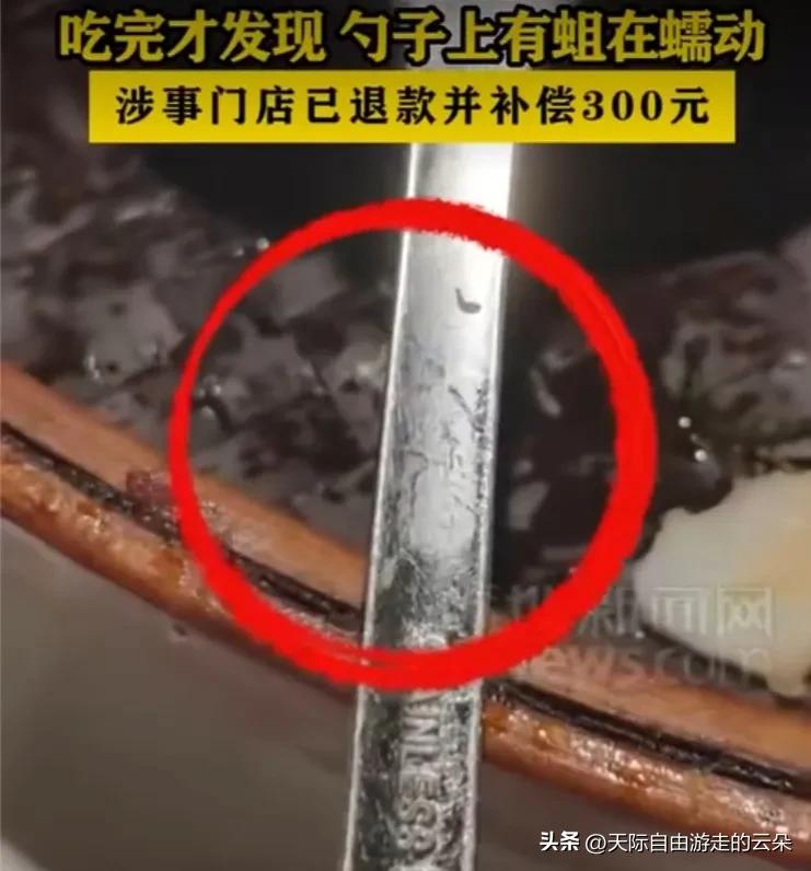 深圳知名餐厅吃出活蛆！312元套餐退款还赔300，顾客：再也不敢去

7月3日，