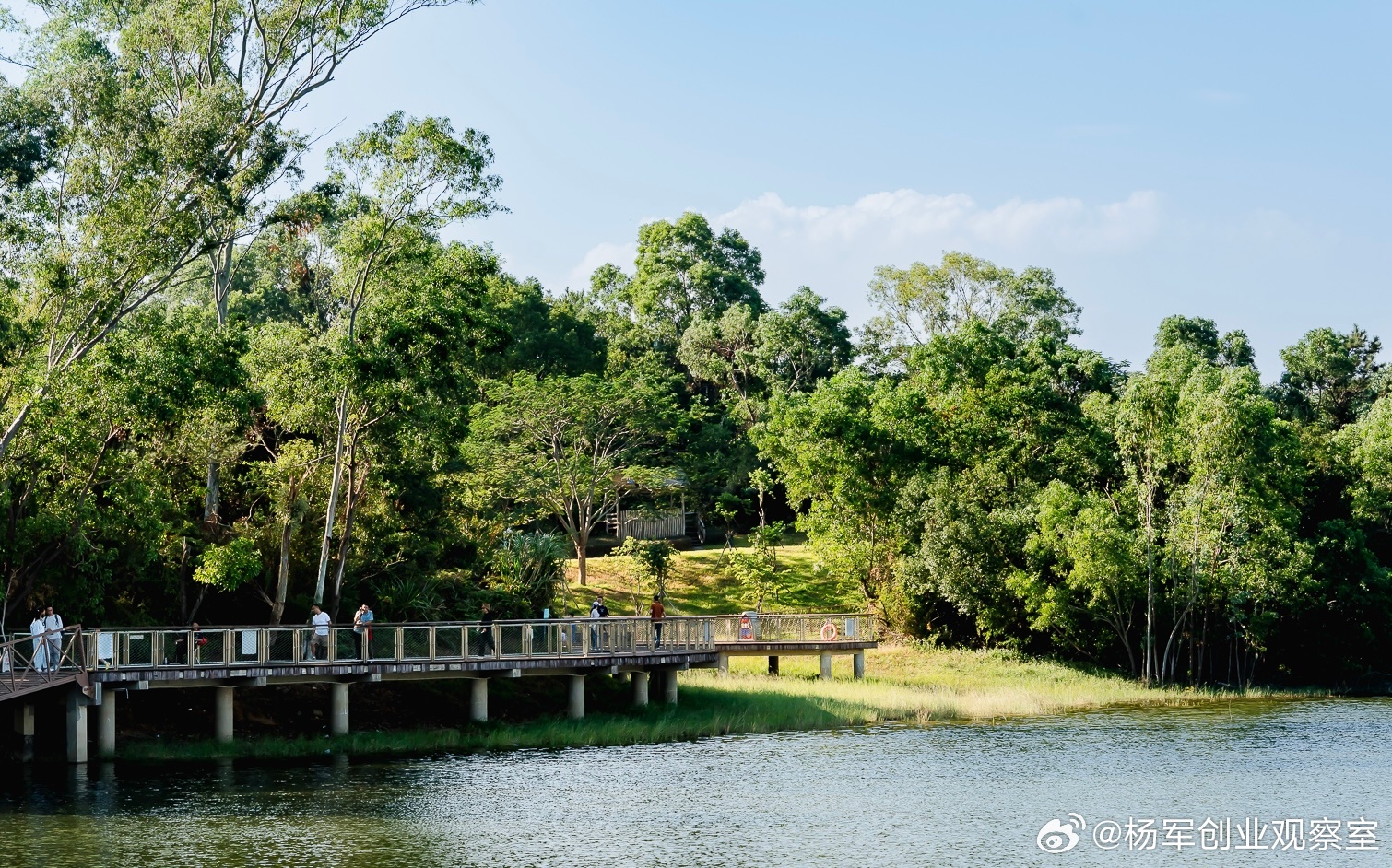 战略规划“三步走”：从愿景到执行的系统设计真正的战略规划是环环相扣、动态迭代的，