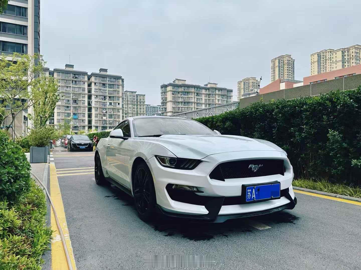 我自己就是个典型反例，别人嫌车小不够用，我自己则是两台大车，但配置是2门+4门这