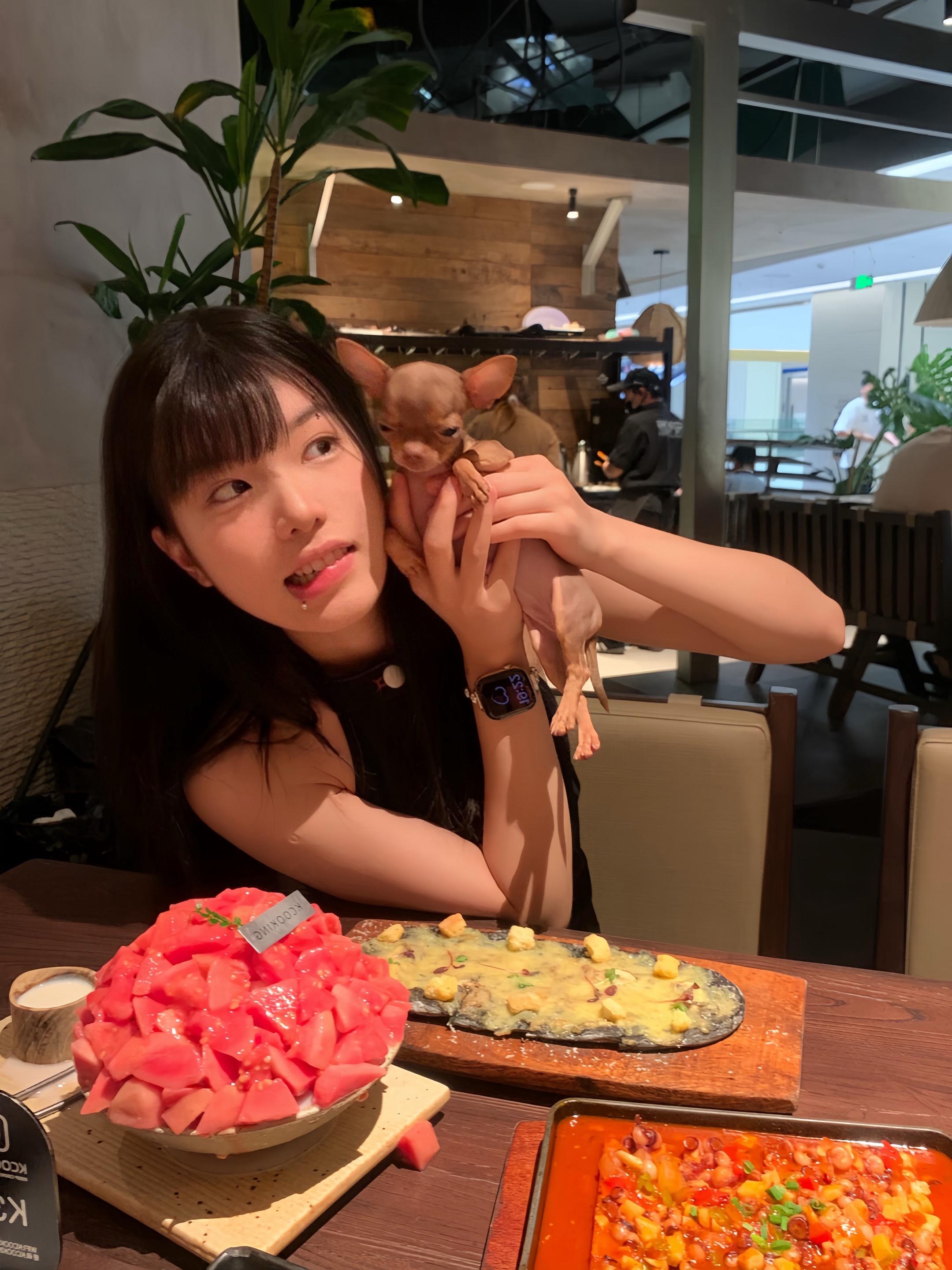 蹭蹭吉娃娃的流量