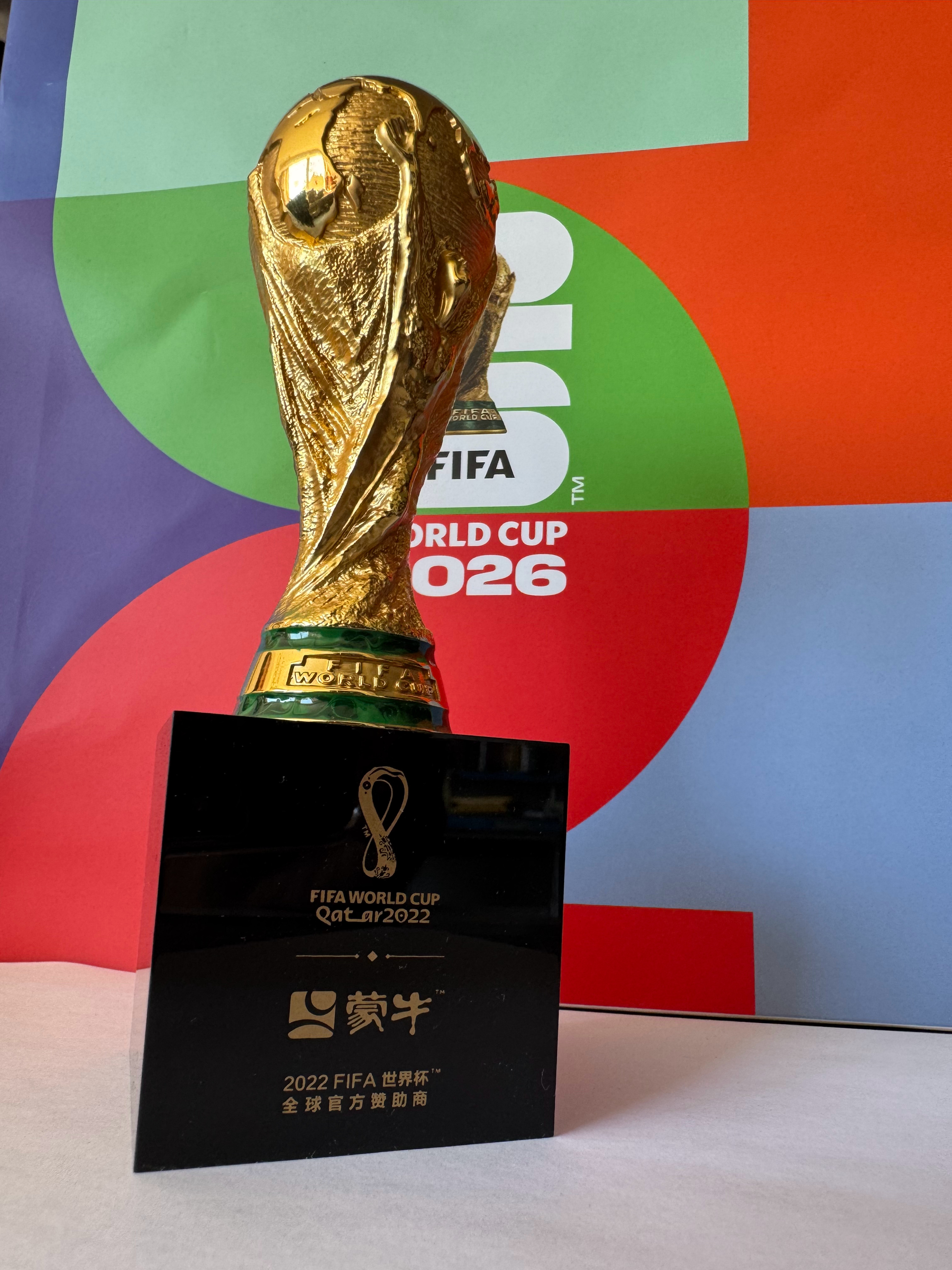 正式确诊世界杯综合症 2026世界杯大幕拉开，蒙牛“球治百病治愈院”整活开张。院