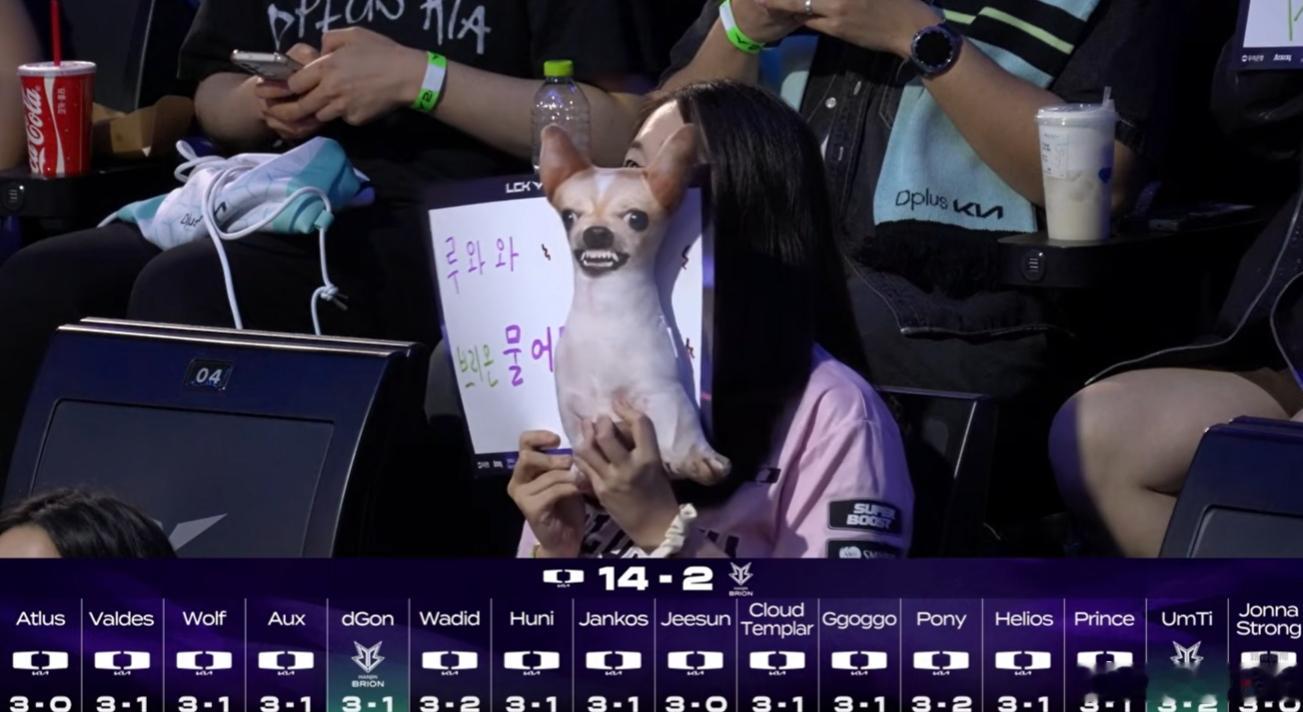 DK vs BRO赛前预测14-2只有两人预测BRO会赢，其中一个是UmTi😂