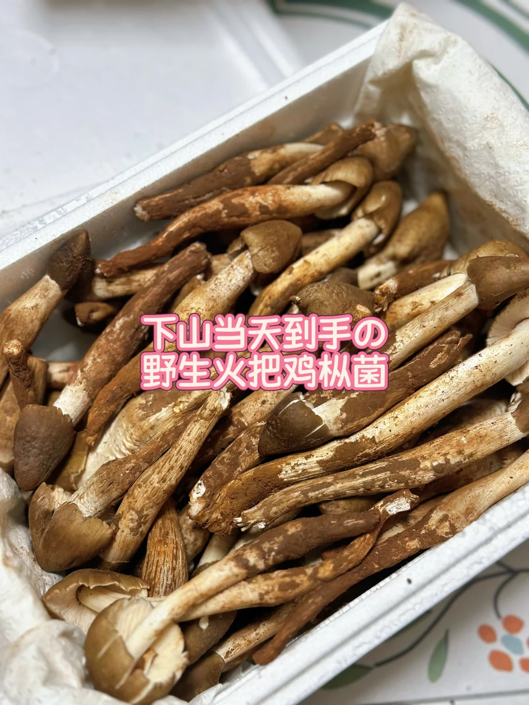 感谢顺丰