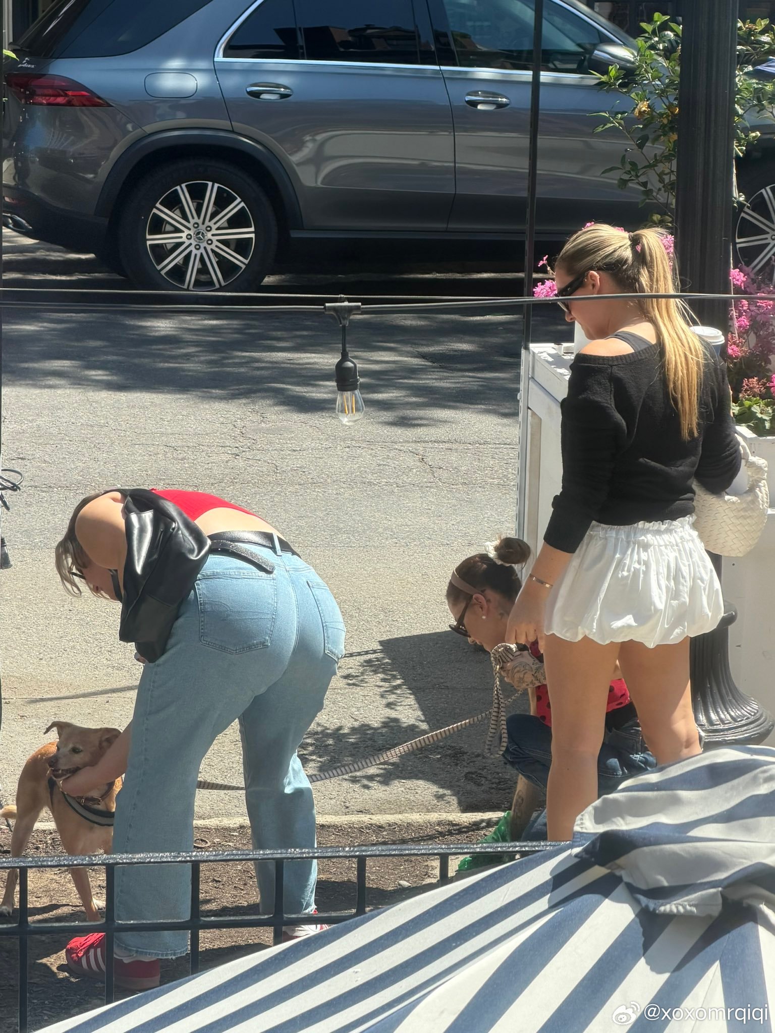 Ariana Grande被拍到在捡爱犬的💩 