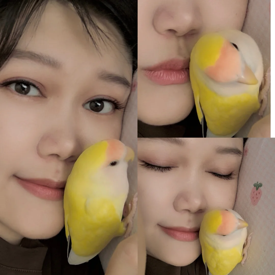 每天都得吸吸
