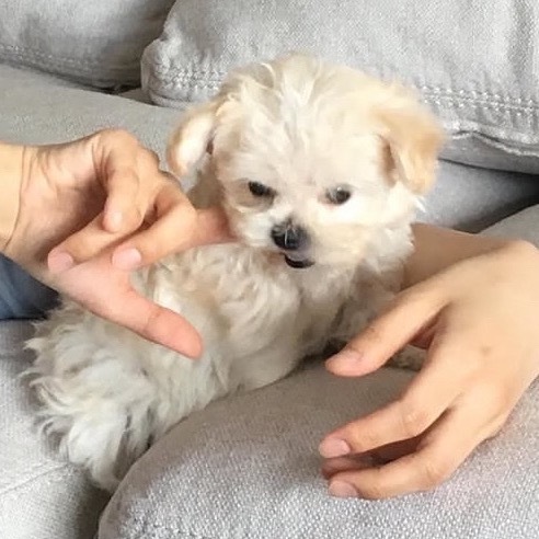 这是金旼炡的手       这是可以吃她手的波妞😇 