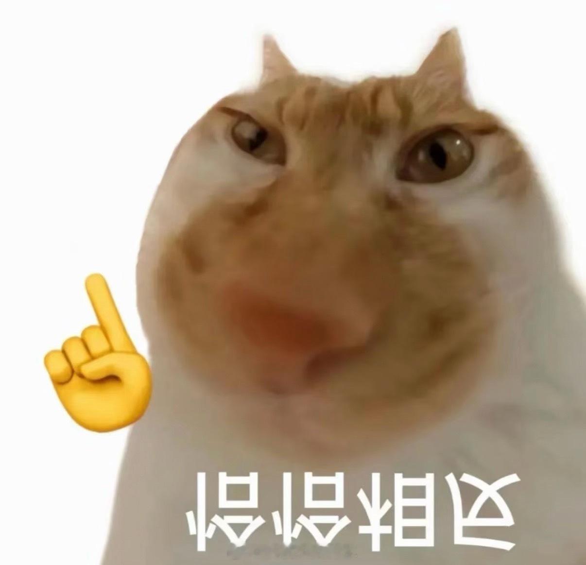 这些食物二次加热危害极大坏了，我就喜欢芹菜留着第二天吃。刚炒的没有味儿。芹菜，蒜