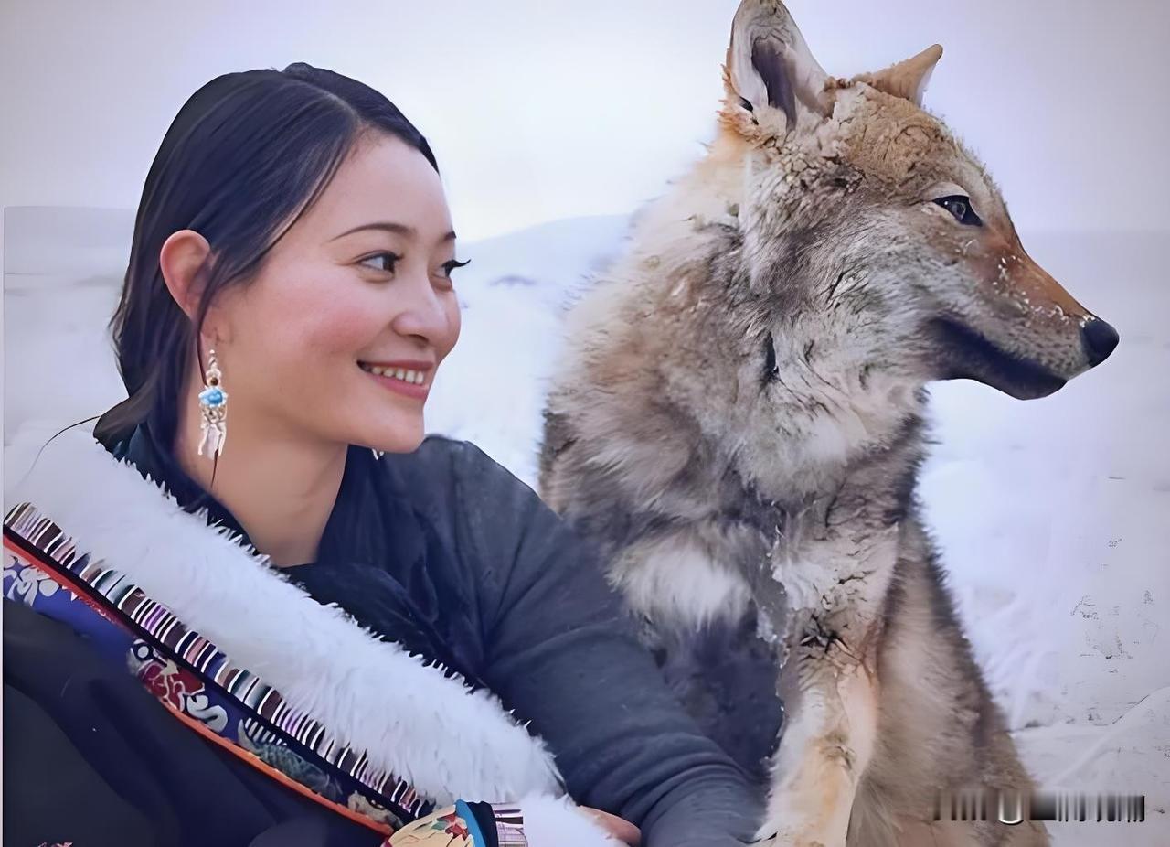 李微漪为什么给小狼崽取名叫“格林”，这个“格林”有什么含义？李微漪带狼归山