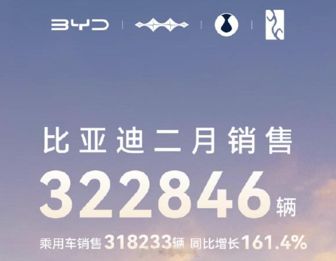 比亚迪汽车2025 年2 月销售32.28 万辆，同比增长164%，乘用车海外销